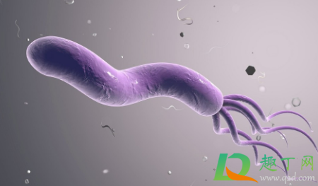 我国超一半人感染幽门螺杆菌是真的吗(中国有一半人有幽门螺杆菌吗)