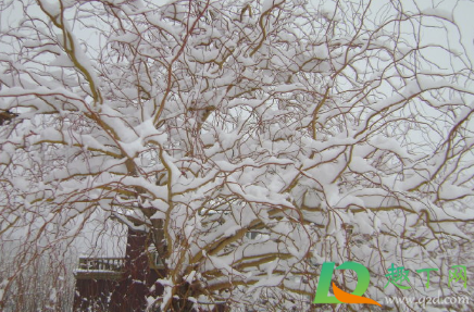 2021年3月会冷吗(2021年3月初冷吗)