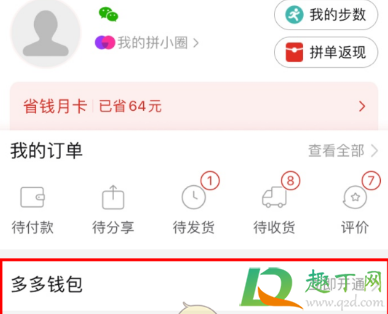 拼多多多多钱包在哪里看(拼多多多多钱包怎么查看)