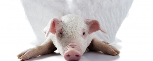 猪肉涨价是因为今年猪肉的供给不足(前段时间,猪肉供应量减少,价格上涨较快)