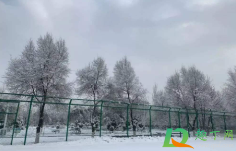 2021数九天最冷是几九(几九最冷2021年三九天时间表) 2021数九天最冷是几九(几九最冷2021年三九天时间表)