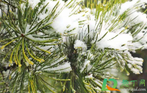 2021年冬天一九是什么时候(2021年冬季一九天从什么时候开始) 2021年冬天一九是什么时候(2021年冬季一九天从什么时候开始)