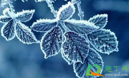 广州2021年几月份开始变冷(2021年广州天气什么时候转凉) 广州2021年几月份开始变冷(2021年广州天气什么时候转凉)