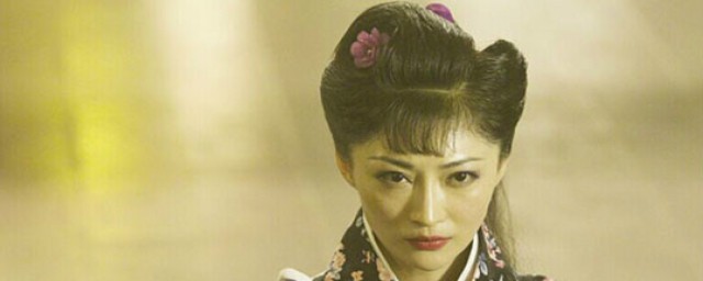 万乘风的电视剧介绍(万乘风的扮演者)