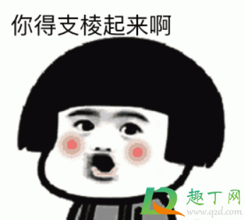 你得支棱起来啊什么梗出处哪(你得支棱起来啊什么意思)