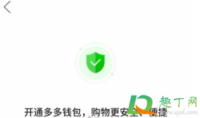 拼多多多多钱包在哪里看(拼多多多多钱包怎么查看)