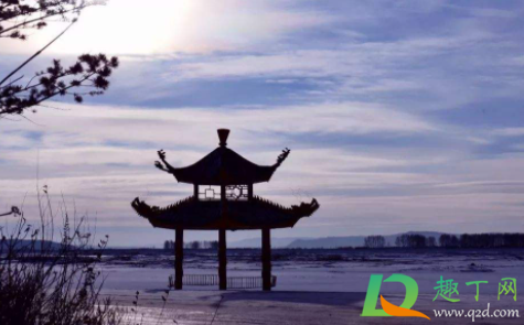 2020出九是几月几日(2020年几月出九)