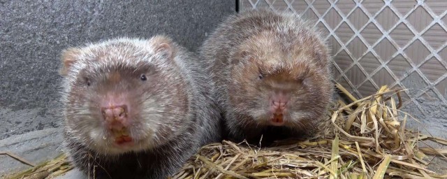 看看这些(看看这些用英语怎么说)