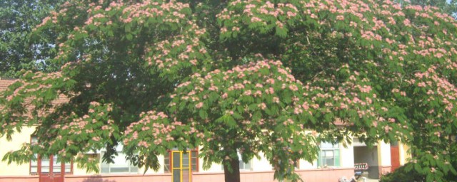 5年以上(5年以上的lpr利率是多少)