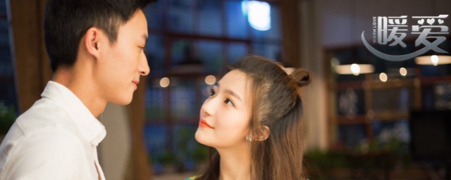 电视剧暖爱讲的是什么(电视剧暖爱内容介绍)