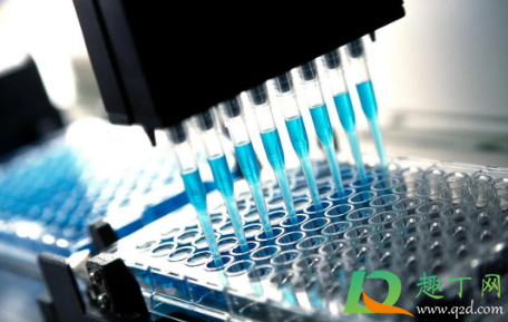 辉瑞疫苗或引发过敏真的假的(辉瑞疫苗过敏体质)