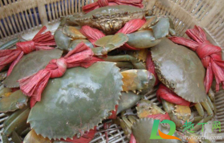青蟹吃起来为什么是苦的(青蟹肉为什么是苦的) 青蟹吃起来为什么是苦的(青蟹肉为什么是苦的)