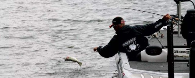 冬天钓鲈鱼要注意什么?(冬季海钓鲈鱼技巧)