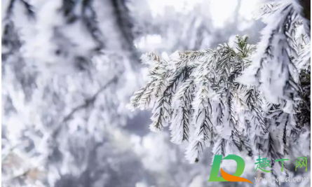 冬至朋友圈发什么会脱颖而出(冬至想发个朋友圈发些什么呢) 冬至朋友圈发什么会脱颖而出(冬至想发个朋友圈发些什么呢)