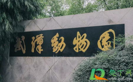 武汉动物园2021年1月1日关闭是真的吗(2020年1月22日起,武汉动物园暂停对外开放,原) 武汉动物园2021年1月1日关闭是真的吗(2020年1月22日起,武汉动物园暂停对外开放,原)