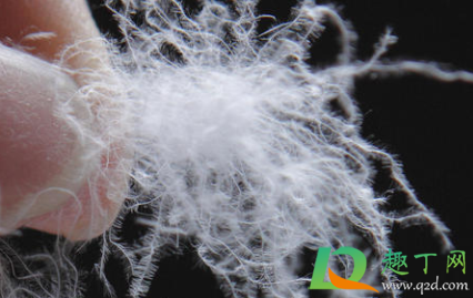 长款羽绒服充绒量200g暖和吗(充绒量220g的羽绒服暖和吗) 长款羽绒服充绒量200g暖和吗(充绒量220g的羽绒服暖和吗)