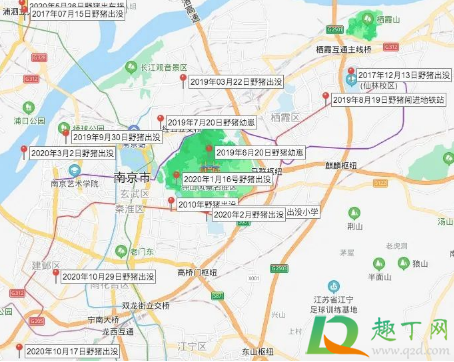 南京野猪进哪个奶茶店(南京茶野奶茶)