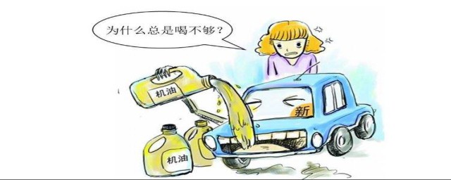 怎么处理? 下面为你详细解答