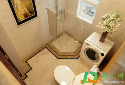 坐便器飞小虫子怎么处理(蹲便器里有小飞虫怎么办)