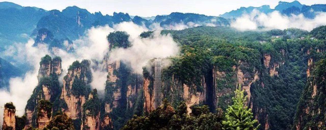 张家界的地貌(张家界的地貌类型多样其中最具有特色的是什么地貌)