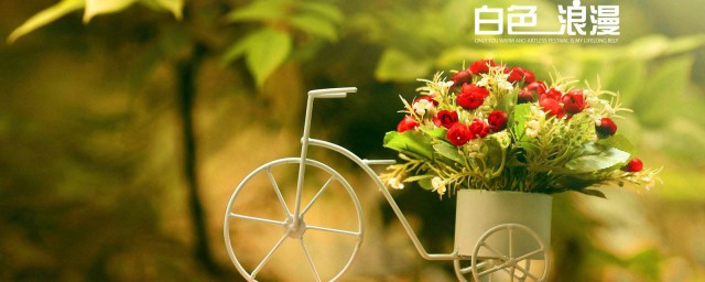 白色情人节的传说(白色情人节讲的是什么故事)
