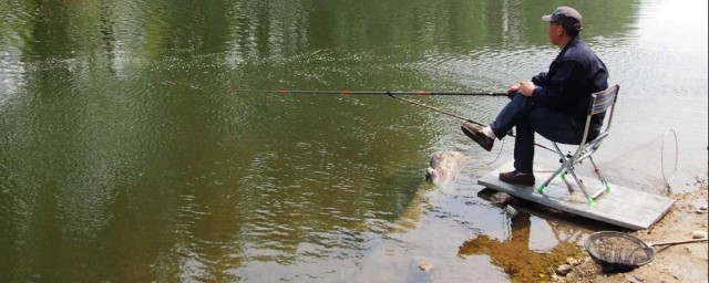 具体注意事项介绍(应注意事项)