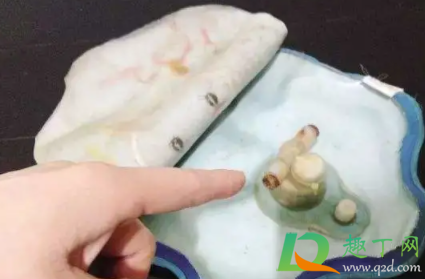 充电暖手宝哪个牌子质量好(充电暖手宝哪种好)