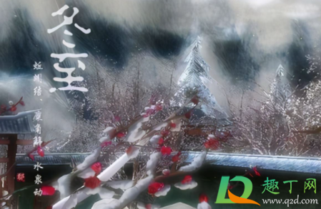 冬至朋友圈发什么会脱颖而出(冬至想发个朋友圈发些什么呢)