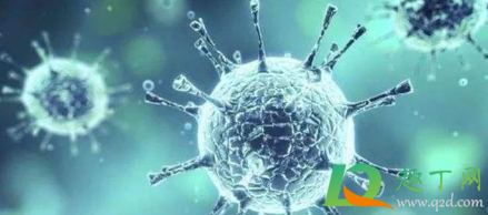 新冠病毒变异后是什么样的(新冠病毒变异后长什么样) 新冠病毒变异后是什么样的(新冠病毒变异后长什么样)