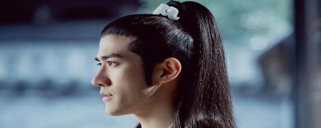 哪部电视剧中有夷则这个角色?(辛夷是哪部电视剧人物的名字)