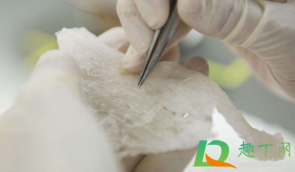 燕窝的毛怎么挑干净(如何快速挑出燕窝的毛)