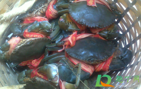 青蟹变红色可以吃吗(螃蟹里面青色能吃吗)