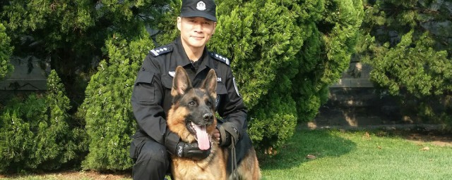 狗狗当主演的戏也是很精彩(演个小狗狗)