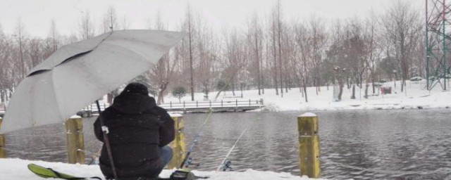 冬天钓鱼应该怎么样(冬天是不是不好钓鱼)