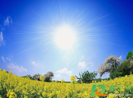 2021年3月26日不能抬头看太阳是真的吗(2021年3月26日为什么不能抬头看太阳是真的吗)