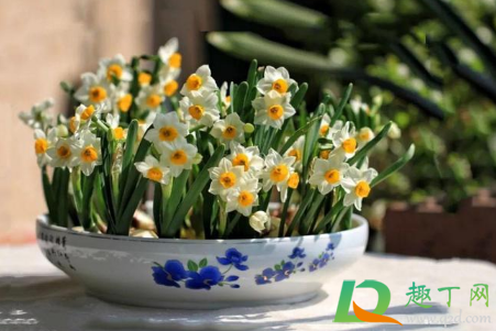 朋友圈晒花的心情短语搞笑2021(晒花的朋友圈搞笑句子)