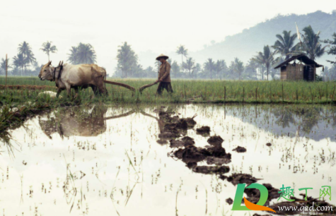 2022年打春是多少号(2022年是几九)