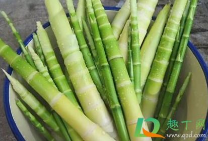 竹笋用什么水泡最好(竹笋拿什么水来泡)