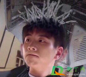 你得支棱起来啊什么梗出处哪(你得支棱起来啊什么意思)