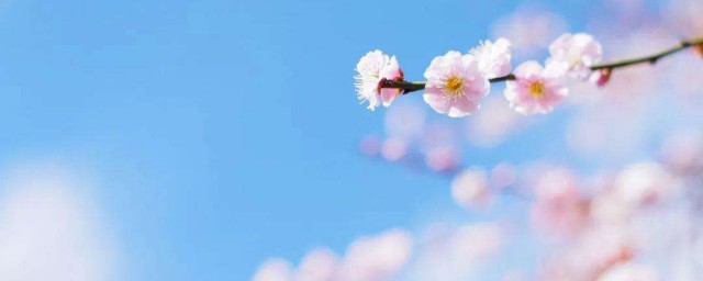 立春的气候特点(关于立春的气候特点)