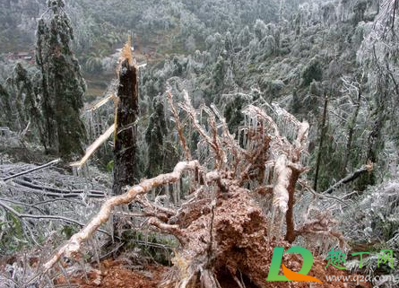 2021年3月会冷吗(2021年3月初冷吗)