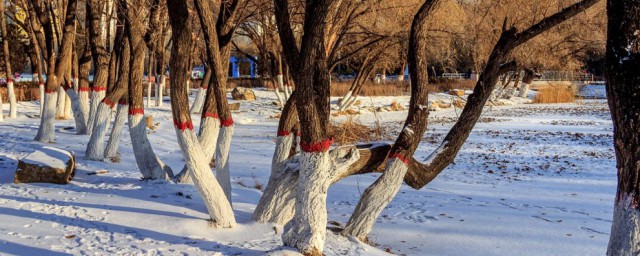 4个游戏介绍给你(帮我介绍一款游戏)