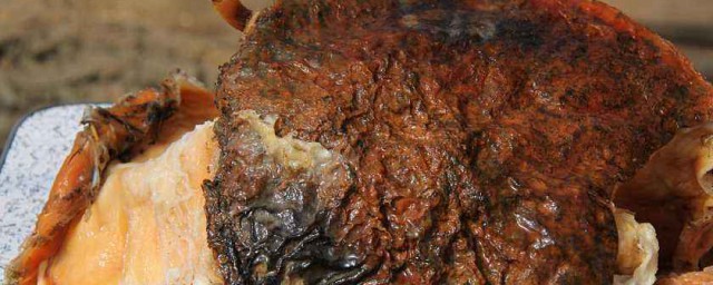 太岁的辨别方法(太岁的特征)