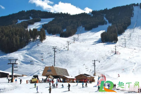 2021过年能去日本滑雪吗(2021日本奥运会滑冰)