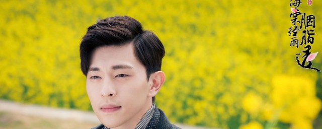 电视剧海棠经雨胭脂透讲的是什么(海棠经雨胭脂透电视剧百度百科)