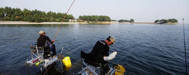 水库垂钓钓位选择技巧(水库钓鱼选位置的诀窍)