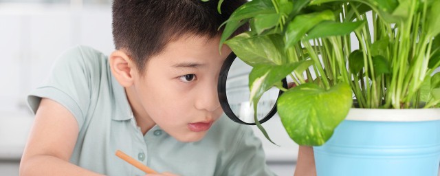 父母一定要看看(看一下父母)