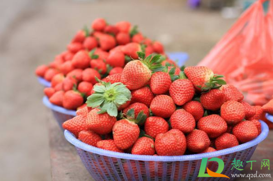 草莓洗了就没味道了怎么回事(为什么草莓洗过就不好吃了)