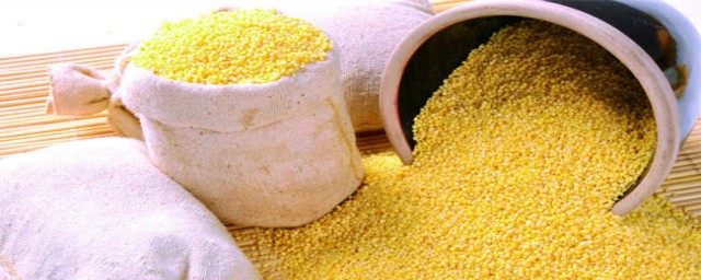 粟的介绍(粟包括什么)