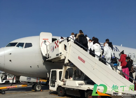 2021年1月回国机票好买吗(2021年一月机票)